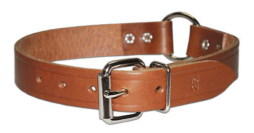 Leather Brothers  Leather Restricting Collar with Ring in Center - 1 x 23 in. (1 x 23 in.)
