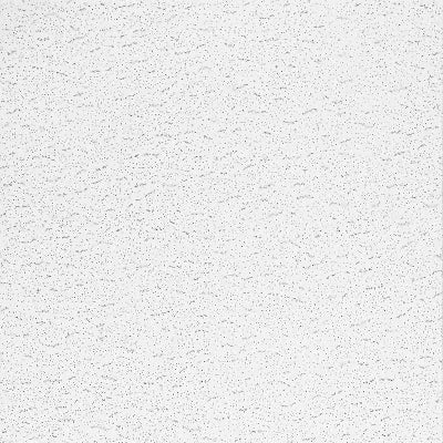 Armstrong Ceilings Textured 24-in x 48-in Ceiling Panels (24