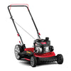 Troy-Bilt 11A-A0BL766 Gas Lawn Mower